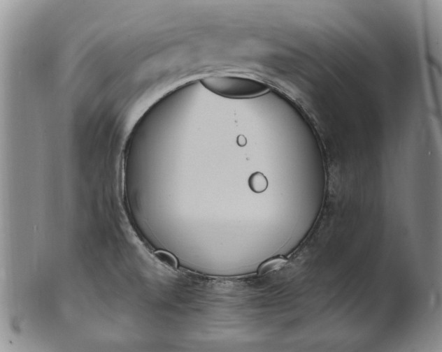 X0000100981520200807081231