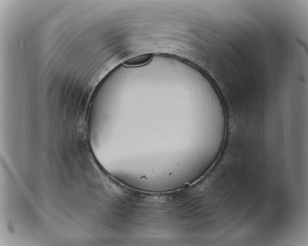 X0000100981521200807081231