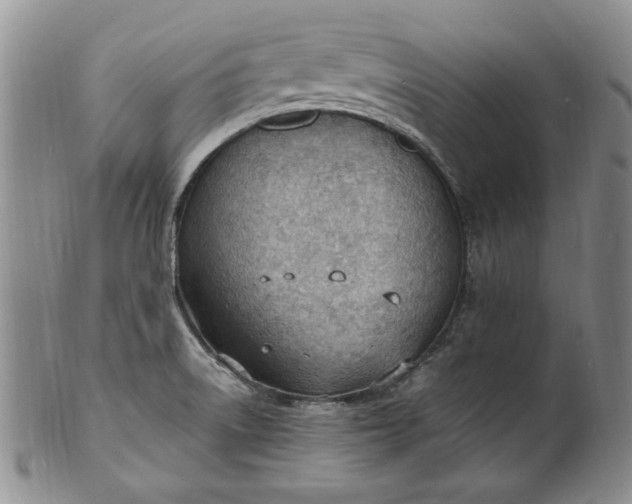 X0000100981522200807081231