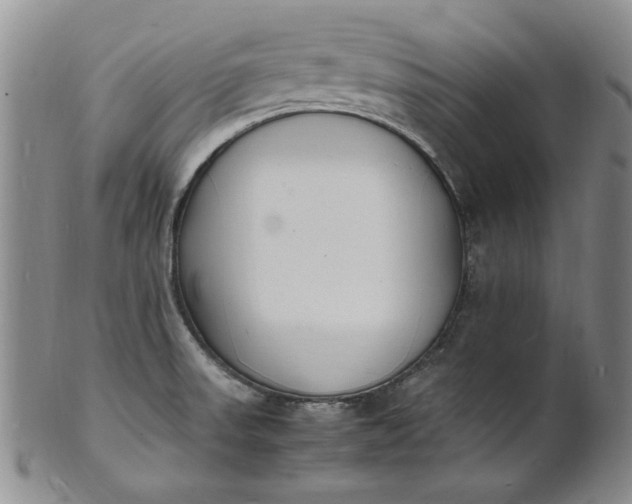 X0000100981523200807081231