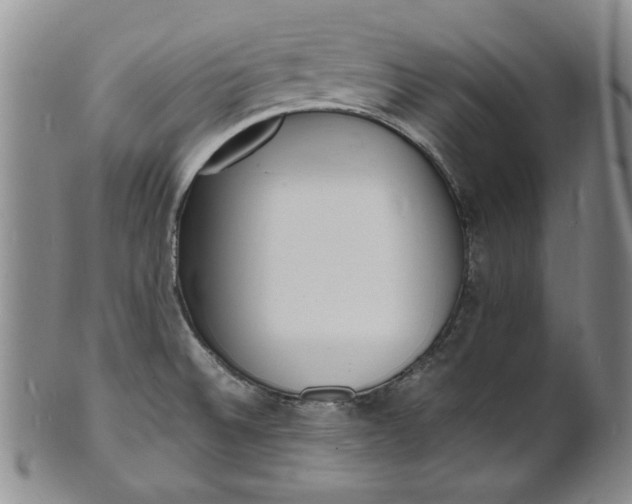 X0000100981524200807081231