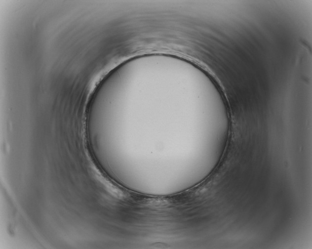 X0000100981525200807081231