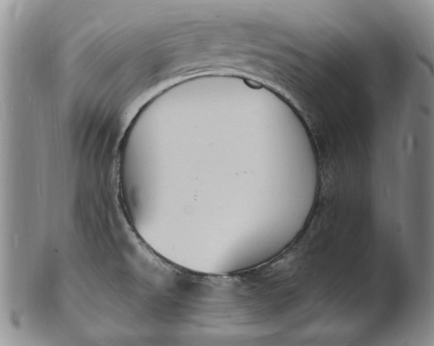 X0000100981526200807081231