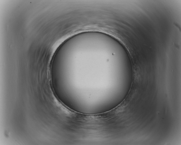 X0000100981527200807081231