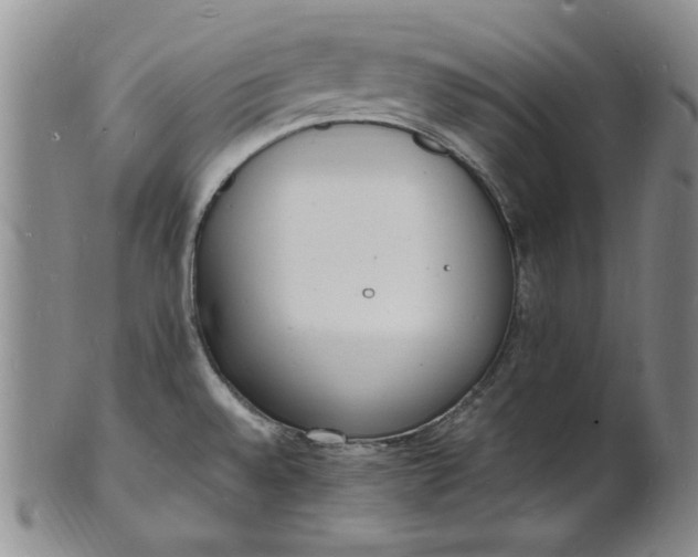 X0000100981528200807081231