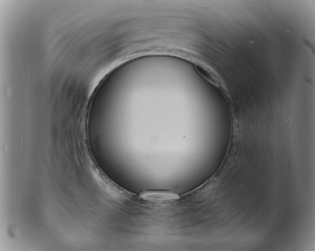 X0000100981530200807081231