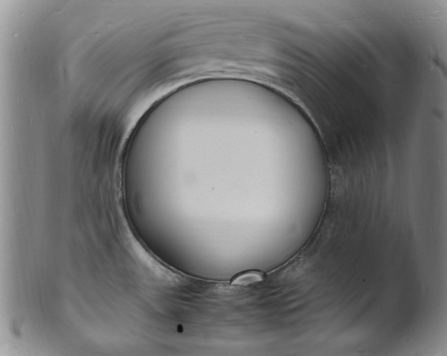 X0000100981531200807081231