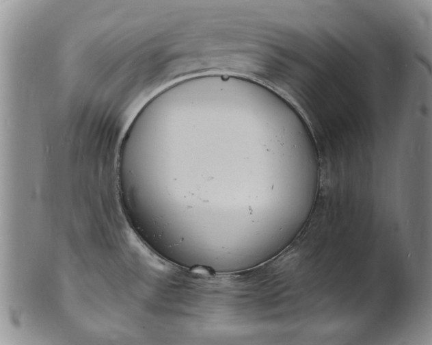 X0000100981532200807081231