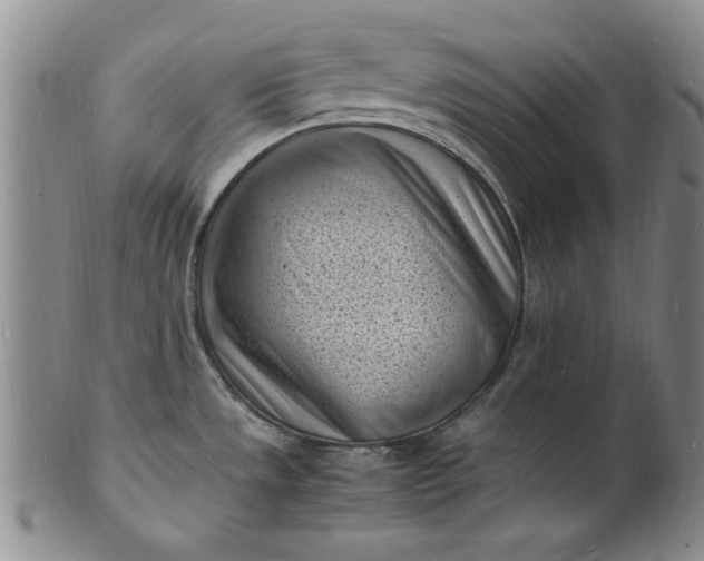 X0000100981533200807081231