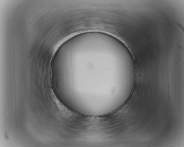 X0000100981534200807081231