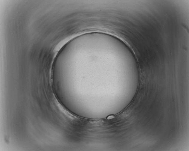 X0000100981535200807081231