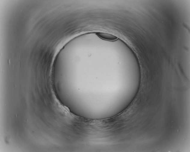 X0000100981536200807081231