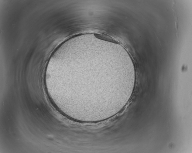 X0000100980001200807151426