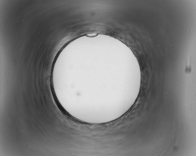 X0000100980003200807151426