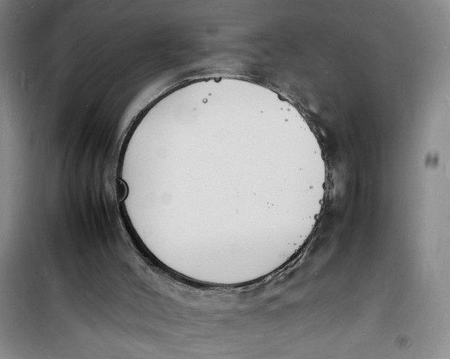 X0000100980004200807151426