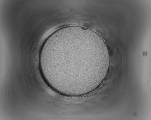 X0000100980005200807151426