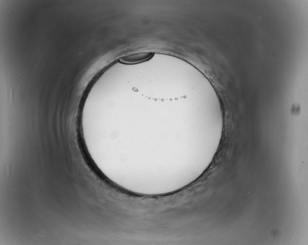 X0000100980007200807151426