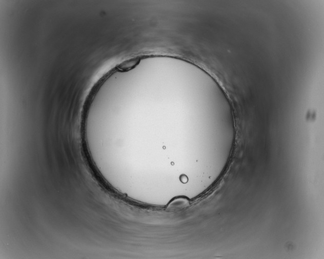 X0000100980008200807151426