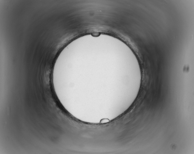 X0000100980010200807151426