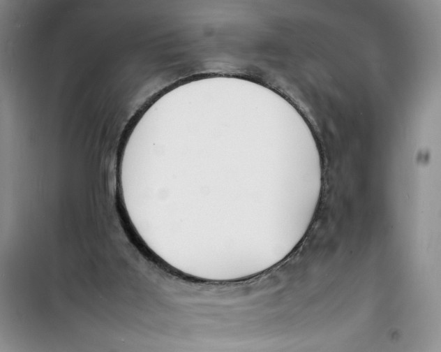 X0000100980011200807151426