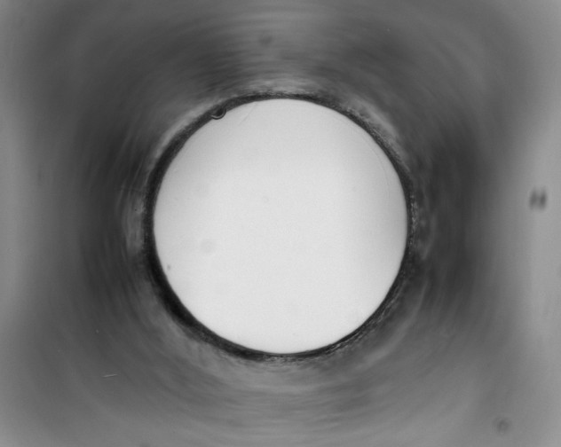 X0000100980012200807151426