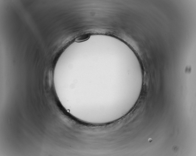 X0000100980013200807151426