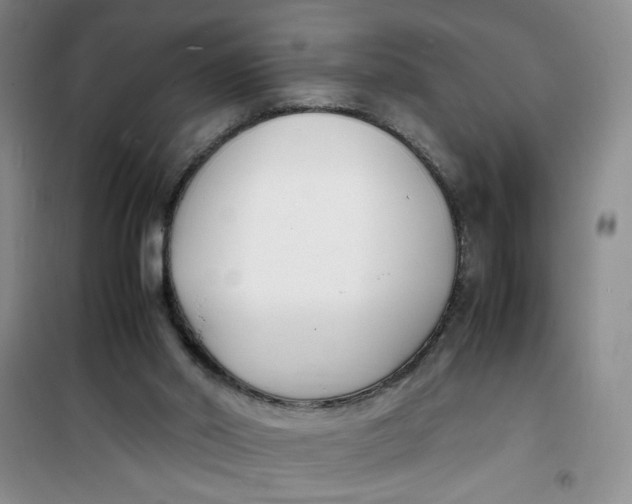 X0000100980014200807151426