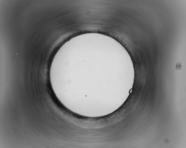 X0000100980016200807151426