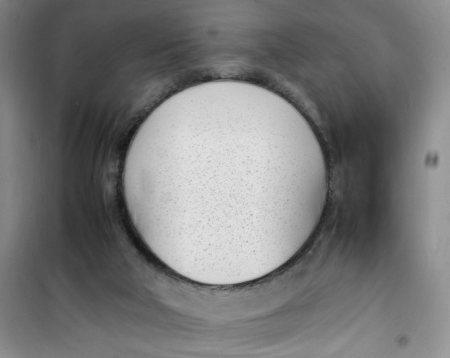 X0000100980018200807151426