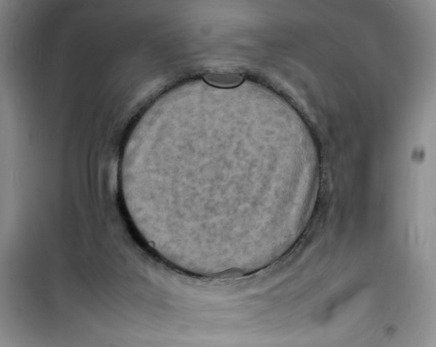 X0000100980019200807151426