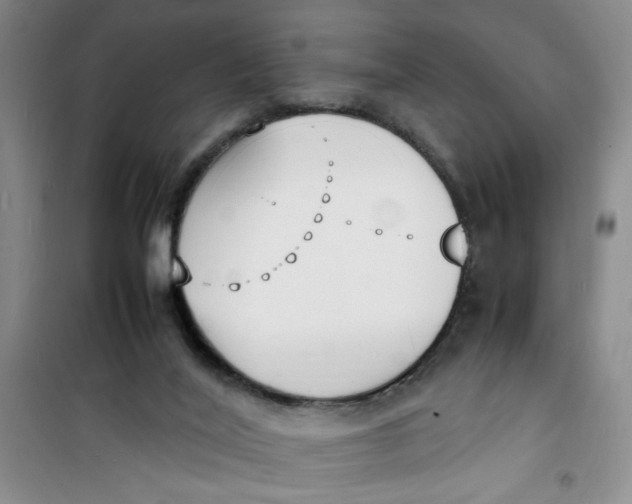 X0000100980020200807151426