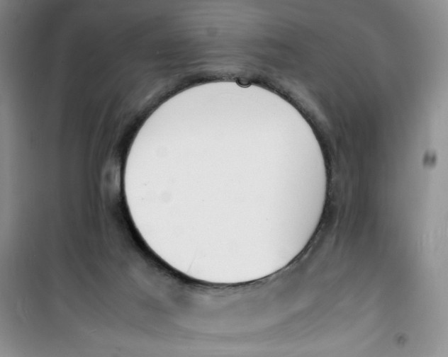 X0000100980021200807151426