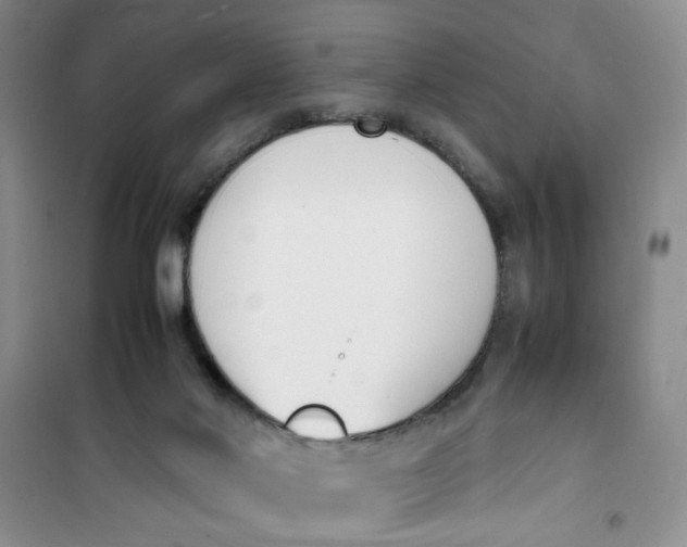 X0000100980022200807151426