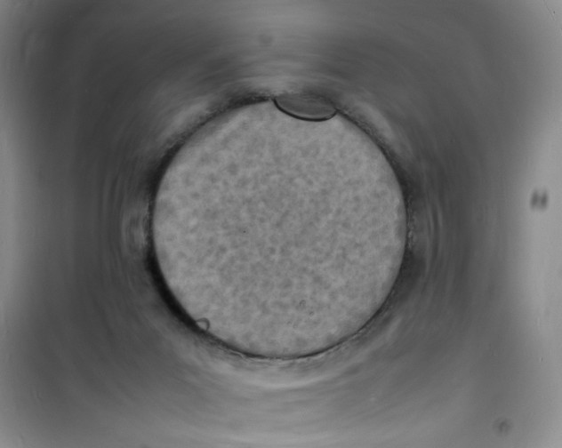 X0000100980023200807151426