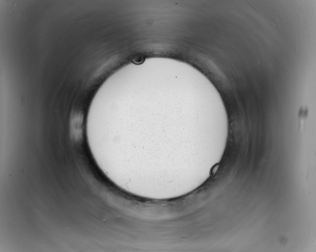 X0000100980024200807151426