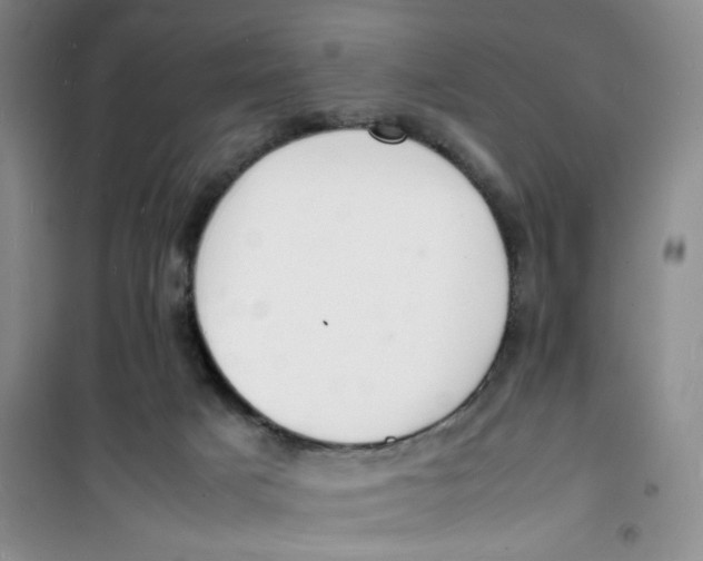 X0000100980025200807151426