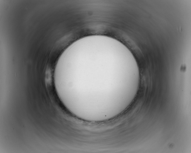 X0000100980026200807151426