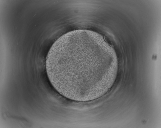 X0000100980029200807151426