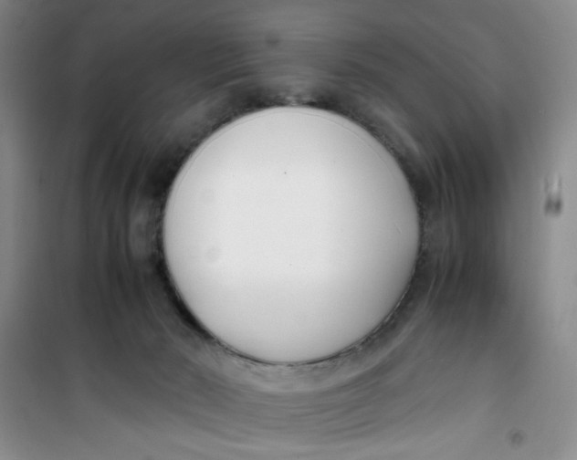 X0000100980030200807151426