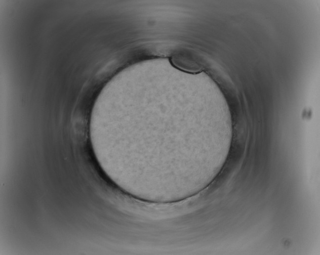 X0000100980031200807151426