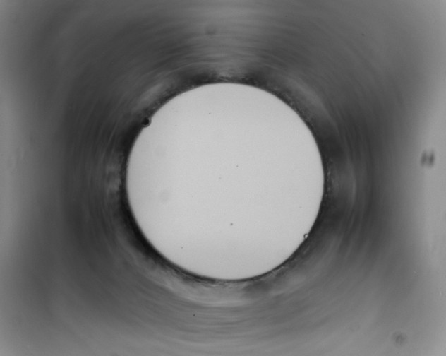 X0000100980032200807151426