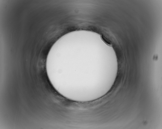 X0000100980033200807151426