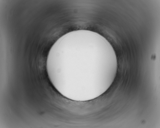 X0000100980034200807151426