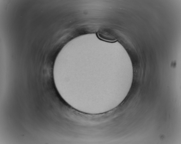 X0000100980035200807151426