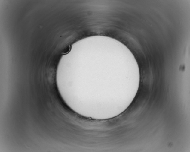 X0000100980036200807151426