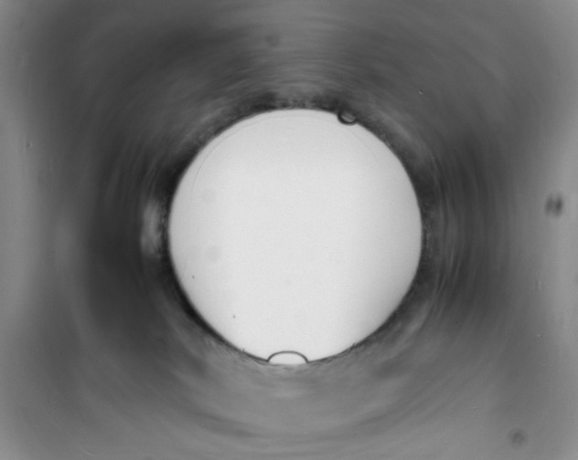 X0000100980038200807151426