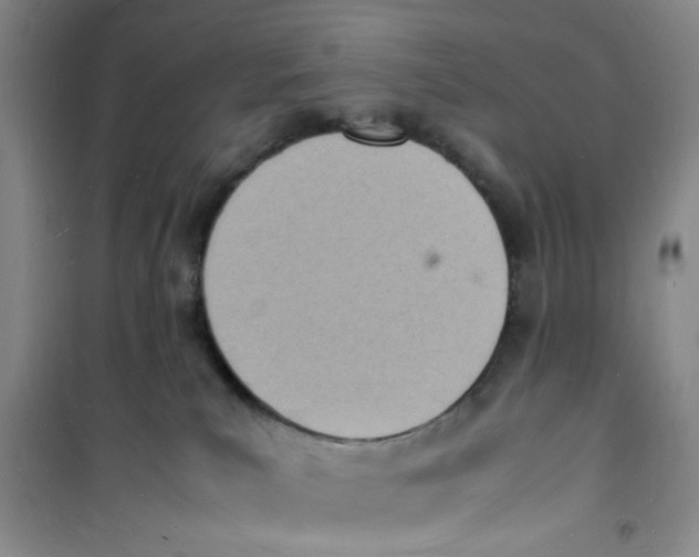 X0000100980039200807151426