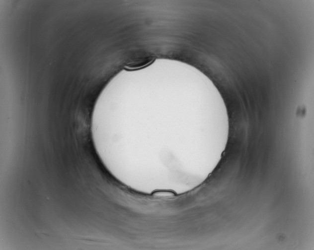 X0000100980040200807151426