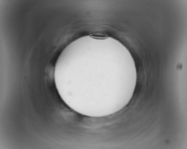 X0000100980041200807151426