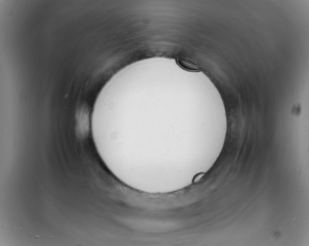 X0000100980042200807151426